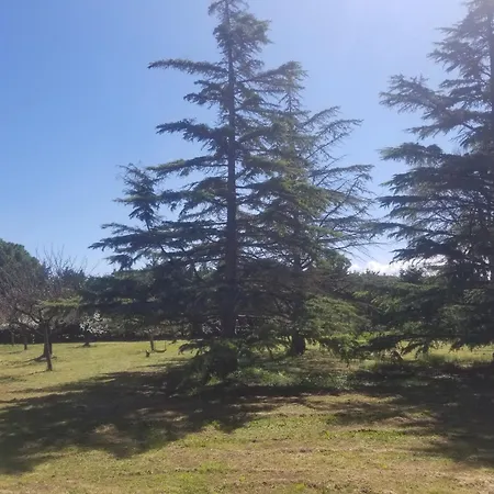 Pool, Tennis, Sauna Et Balneo In The Little Forest فيلة *