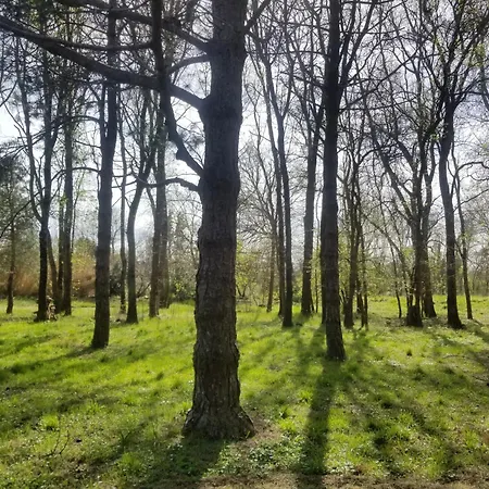 فيلة Pool, Tennis, Sauna Et Balneo In The Little Forest Pennautier