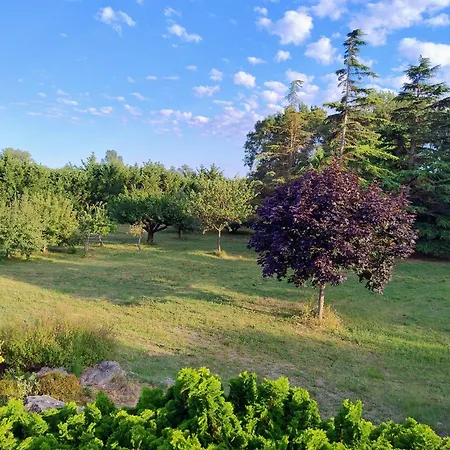 Pool, Tennis, Sauna Et Balneo In The Little Forest *