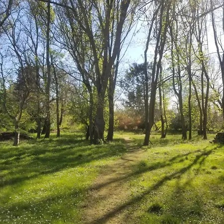 فيلة Pool, Tennis, Sauna Et Balneo In The Little Forest *