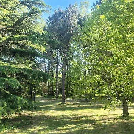 וילה Pool, Tennis, Sauna Et Balneo In The Little Forest *