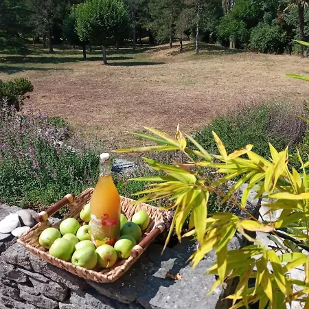 Pool, Tennis, Sauna Et Balneo In The Little Forest * Pennautier
